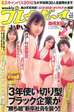 掩护剧情介绍